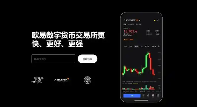 易欧交易所官网系统展示图